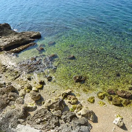 Grisia דירה